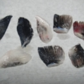 ふぐひれ酒 レシピ 作り方 By あとぶー 楽天レシピ ふぐひれ酒 レシピ 作り方 By あとぶー 楽天レシピ